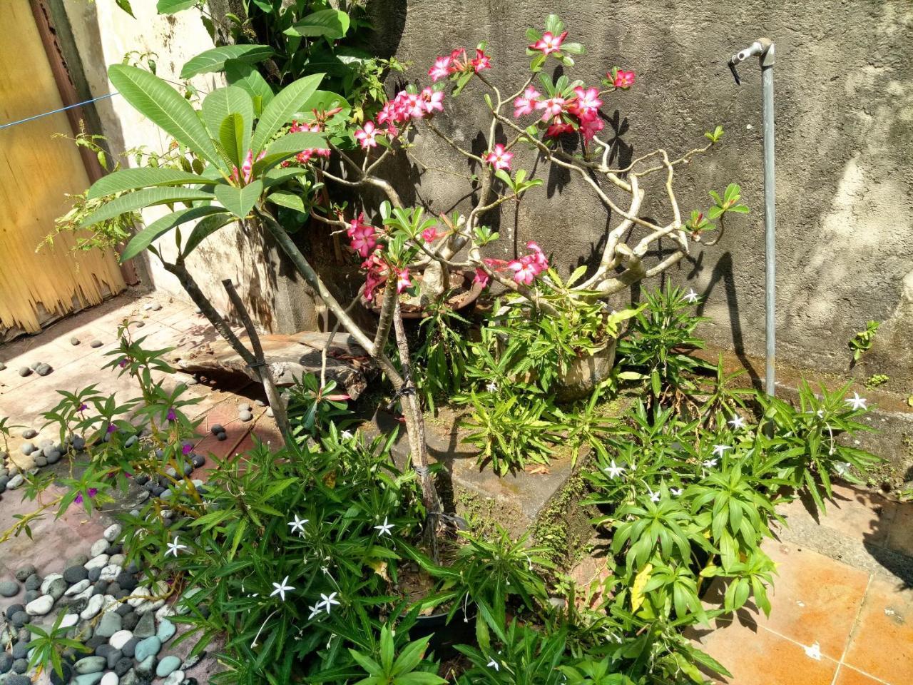 Suandi House Ubud